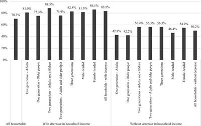 Household Coping Strategies During the COVID-19 Pandemic in Chile